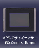 APS-Cサイズセンサー 約22mm×15mm