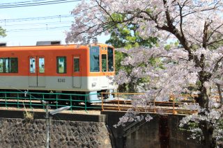 写真で振り返る神戸2017年4月