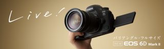 キヤノンEOS 6D Mark2のスペック詳細!フルサイズ一眼レフカメラ入門におすすめ?