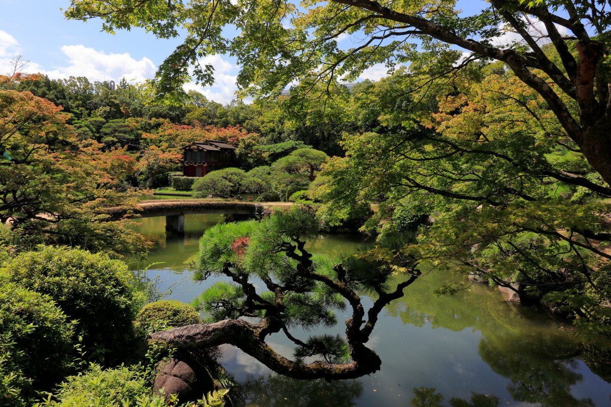 相楽園の日本庭園