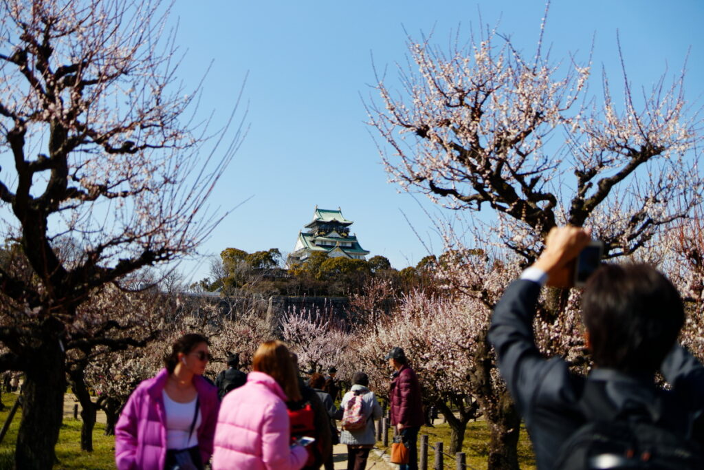 大阪城と梅林と観光客