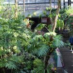 温室 須磨離宮公園 sumarikyupark