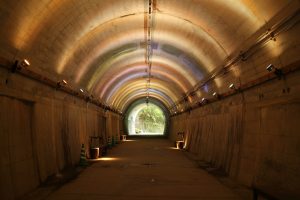神戸市立森林植物園　トンネル