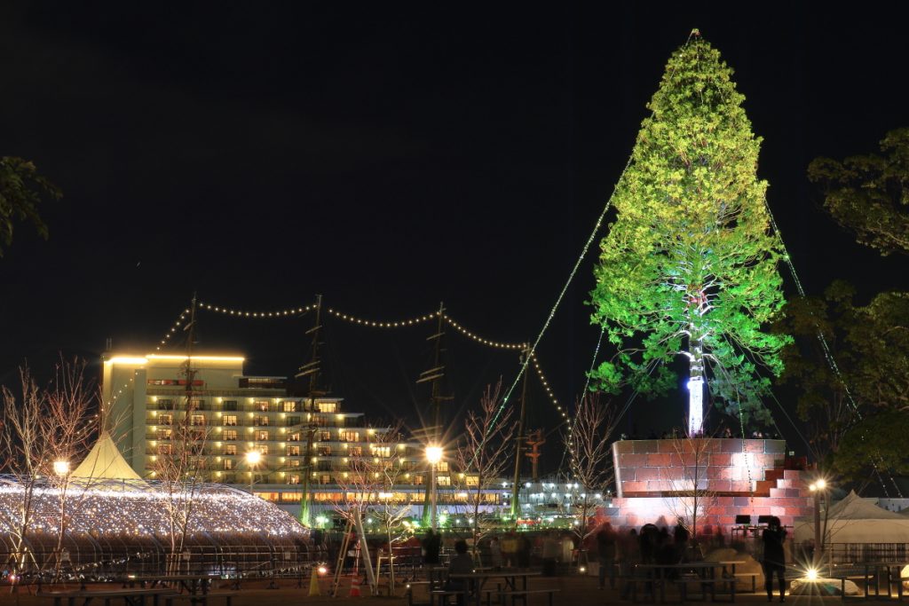 世界一のクリスマスツリー 背景には海王丸のイルミネーション