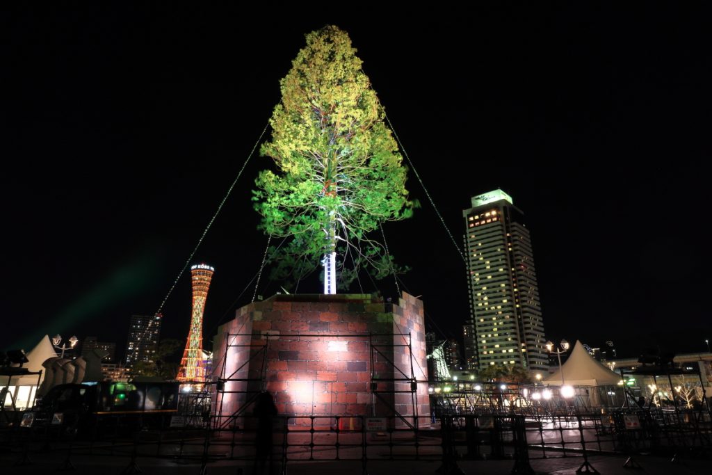 世界一のクリスマスツリー 試験点灯の様子