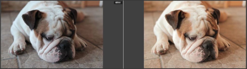RAW現像した写真のビフォーアフター 編集前と編集後の比較