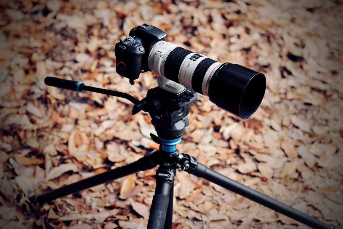 購入廉価 F2.8 70-200mm EF Canon 2762 L キヤノン USM レンズ(ズーム)