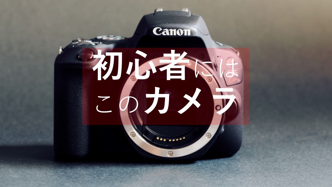 なぜCANON Kiss X7はいまだに売れ筋の人気一眼レフカメラなのか | 神戸 