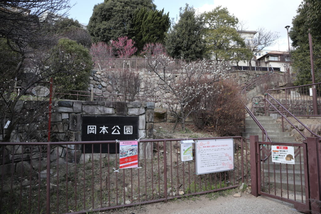 岡本梅林公園　2022年2月4日の梅の開花状況