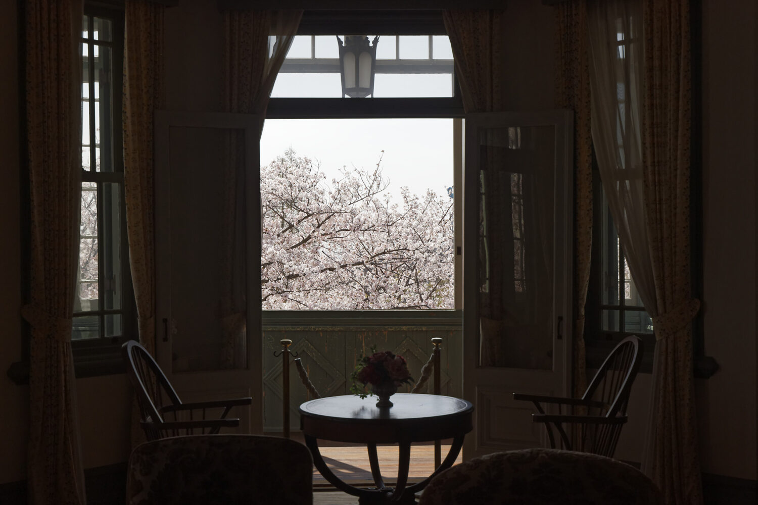 ハンター住宅の中から見る桜