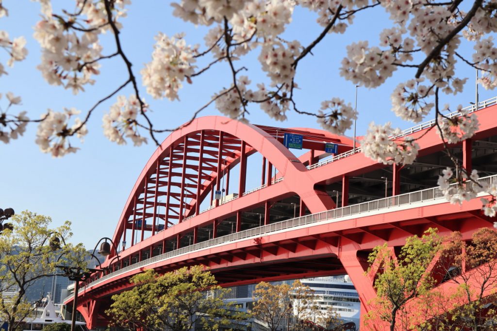 ポーアイ北公園の桜と神戸大橋