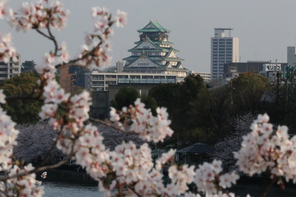 大阪城と桜 200mmで撮影