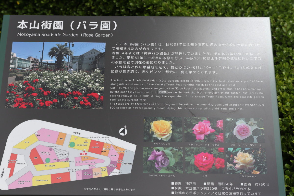 神戸のバラの名所まとめ 薔薇が見られる神戸市内の人気スポット 神戸ファインダー