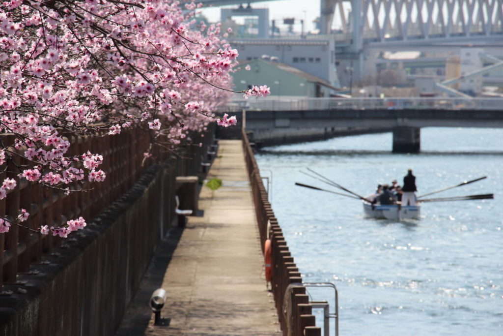 神戸市 東灘区 アーモンド並木と春の水環境フェア