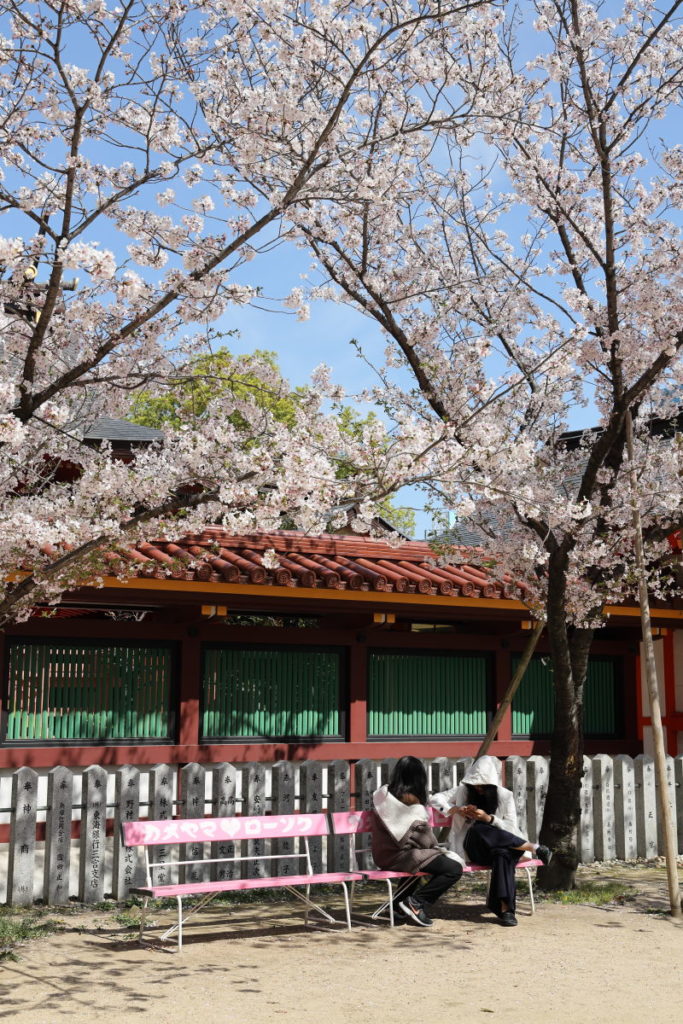 生田神社の桜