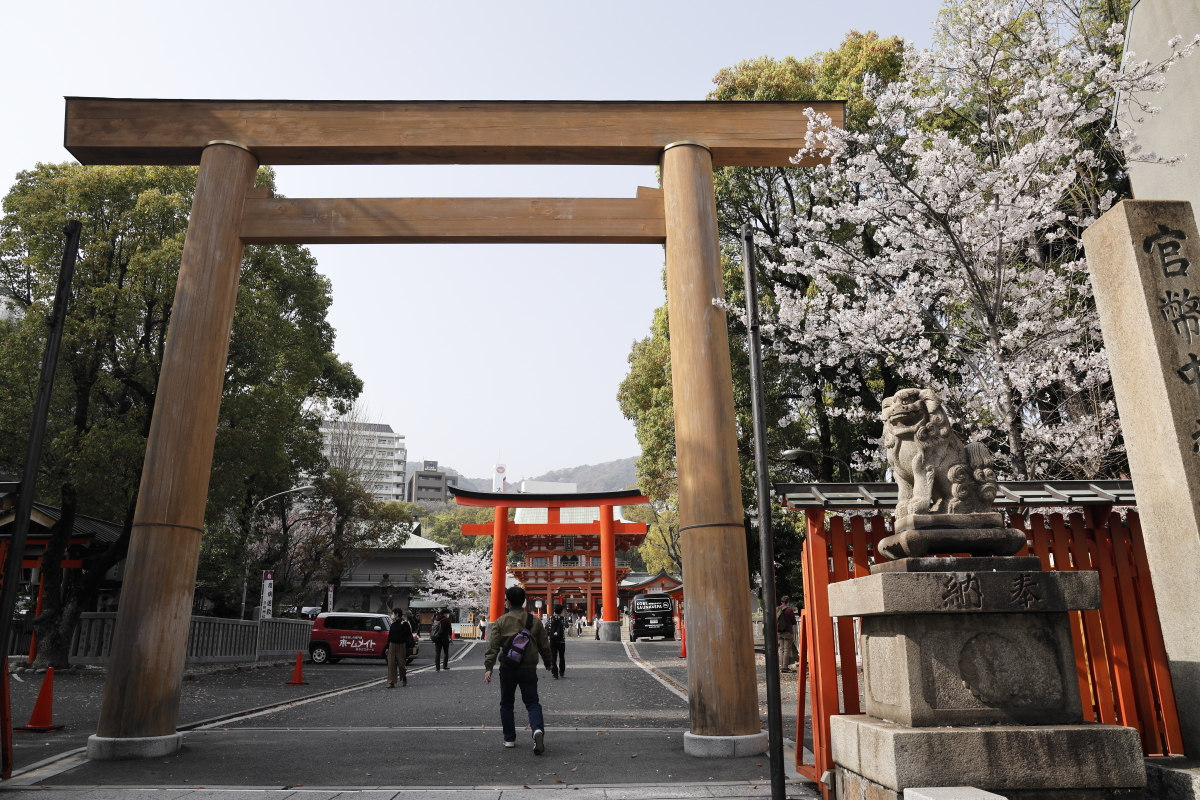 生田神社の桜の開花状況　2021年3月29日