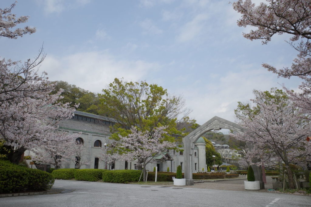 神戸市水の科学博物館 桜 2019年4月8日