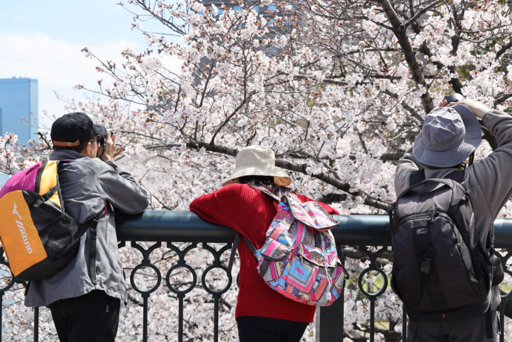桜を撮る人たち