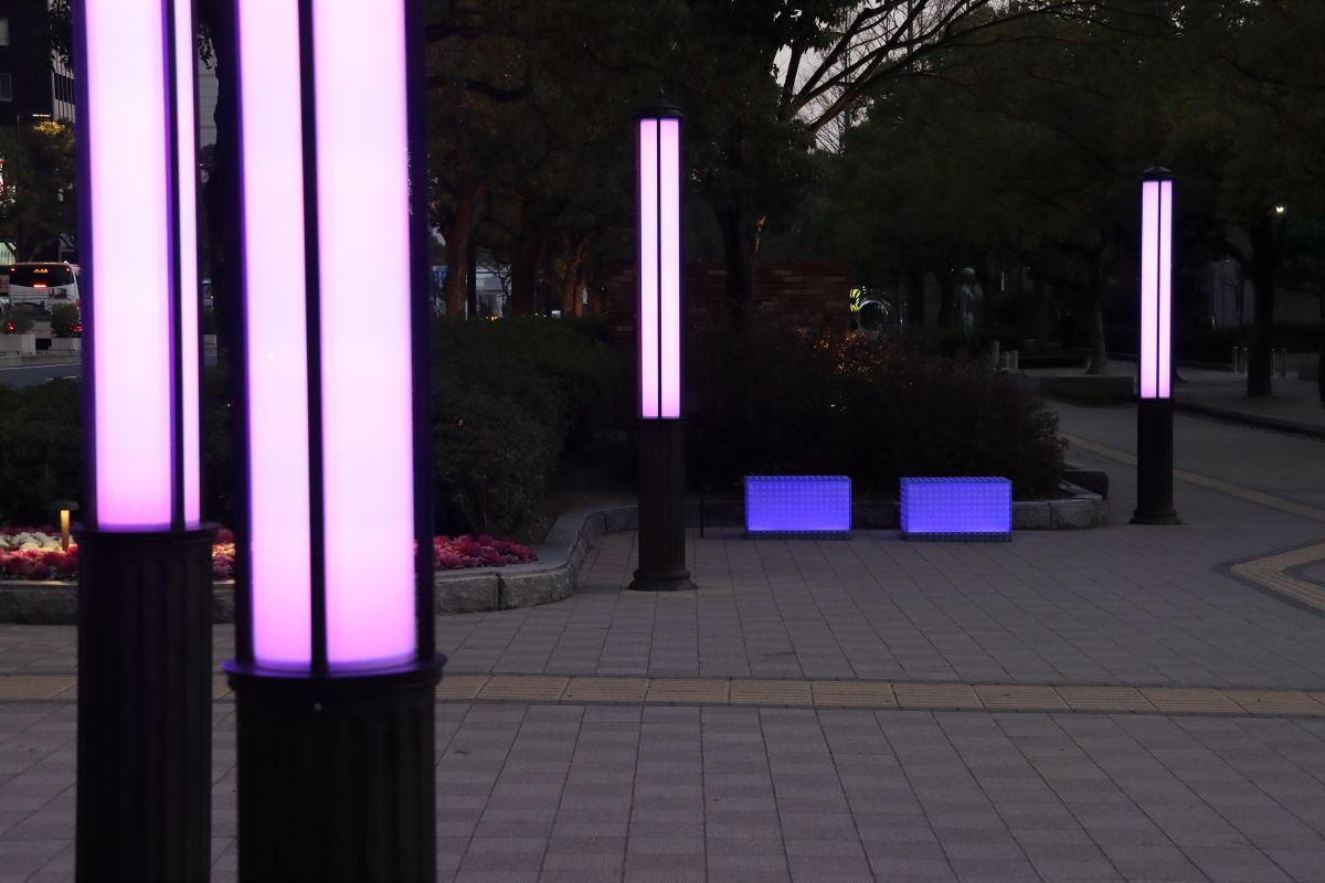 紫色にライトアップされる神戸市役所前フラワーロード