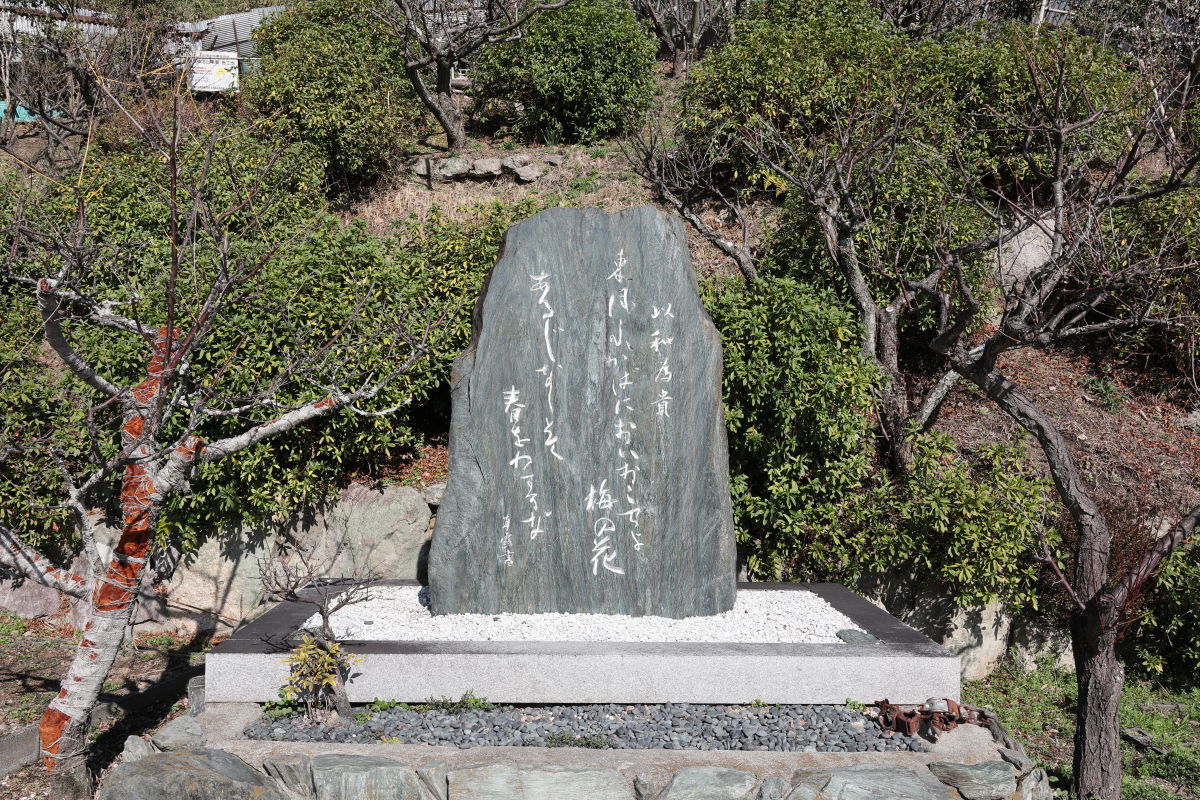 北野天満神社の梅花園