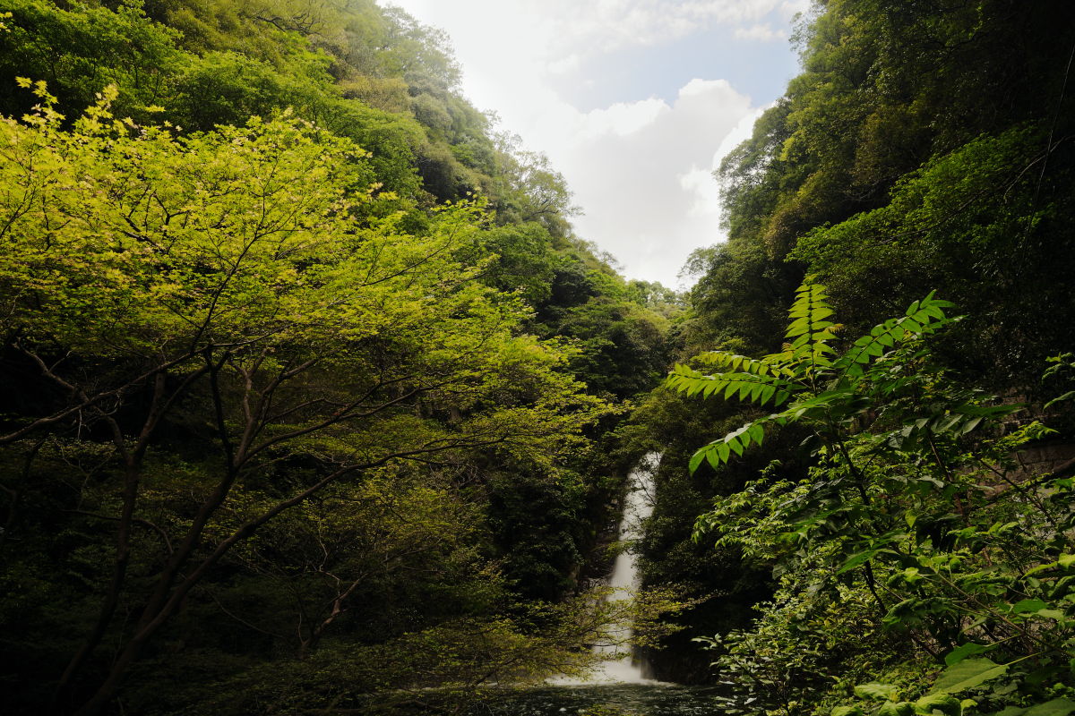 神戸　布引の滝 雌滝