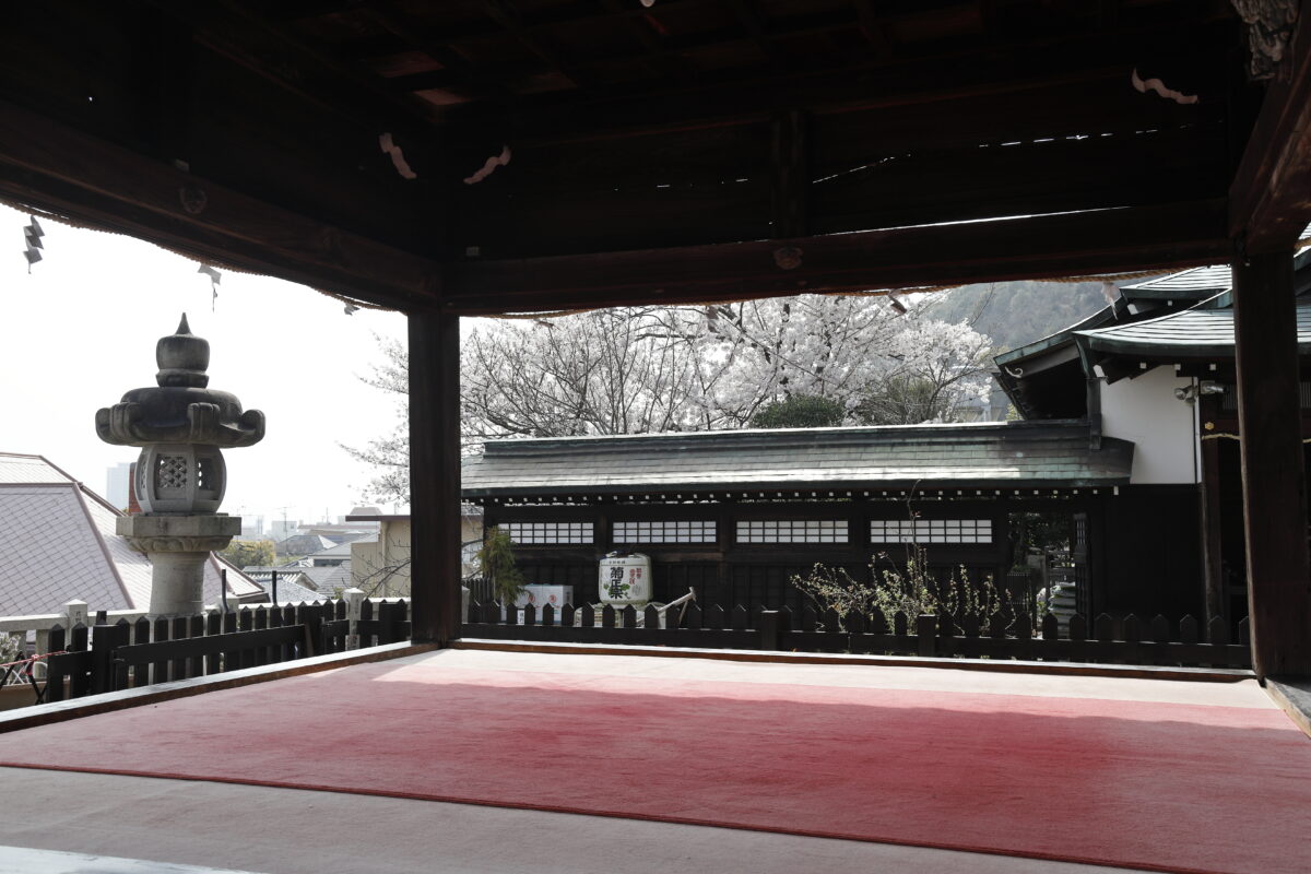 北野天満神社の桜 2021年3月29日撮影