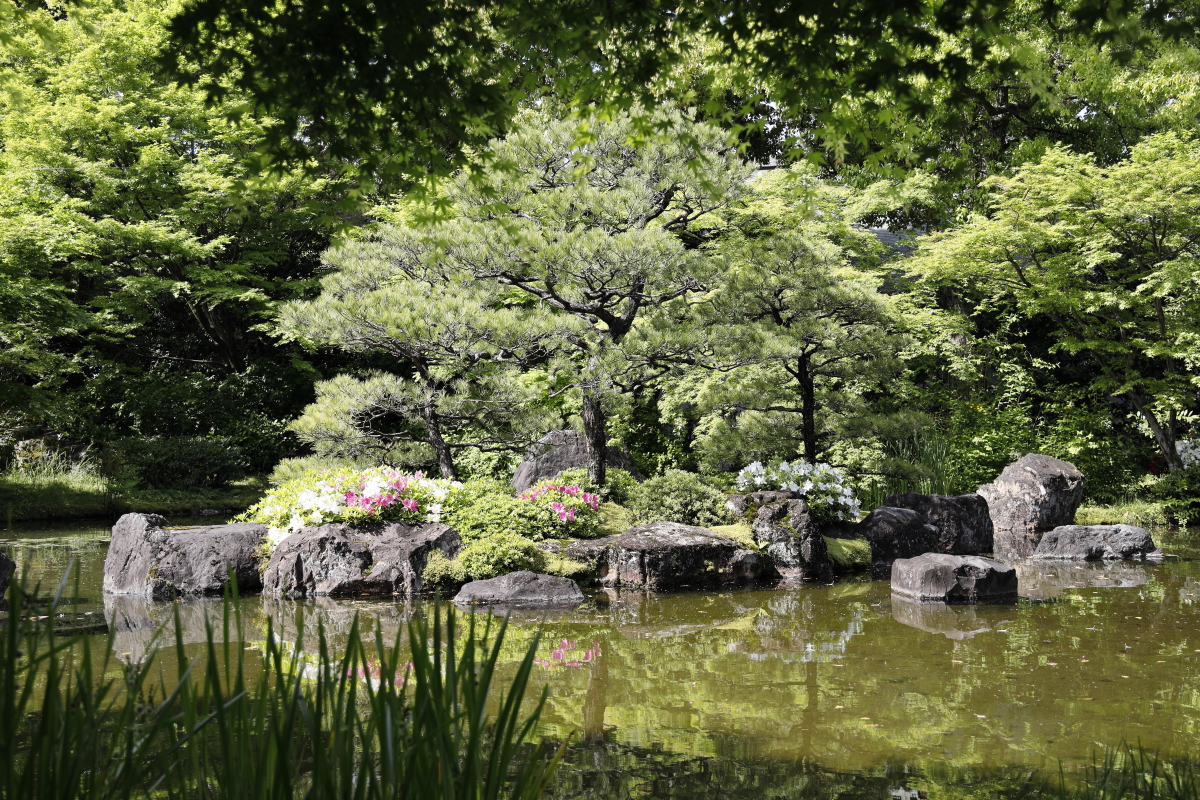 春の京都・城南宮　神宛の日本庭園