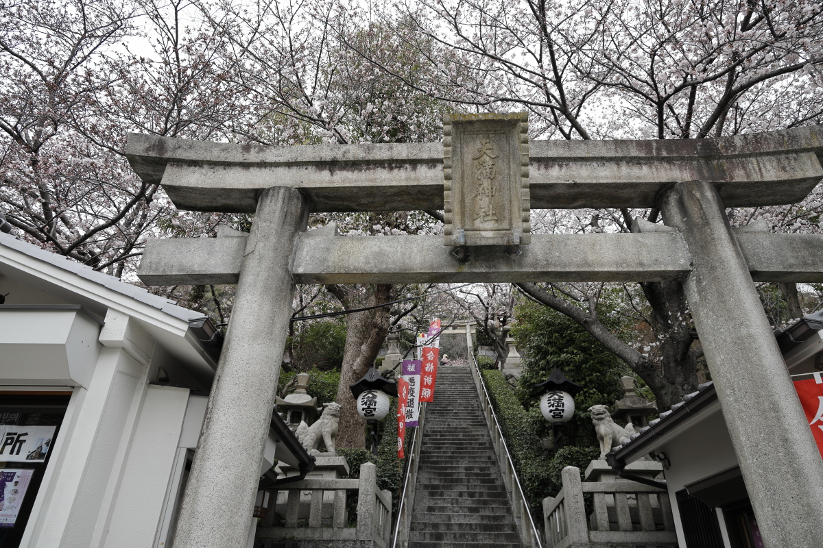 北野天満神社の桜 2022年3月29日撮影