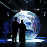 大型球体水槽「AQUA TERRA」を観覧する人のシルエット