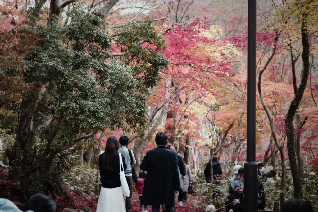 神戸の紅葉の名所「瑞宝寺公園」に行ってきました！有馬温泉観光と一緒におすすめ