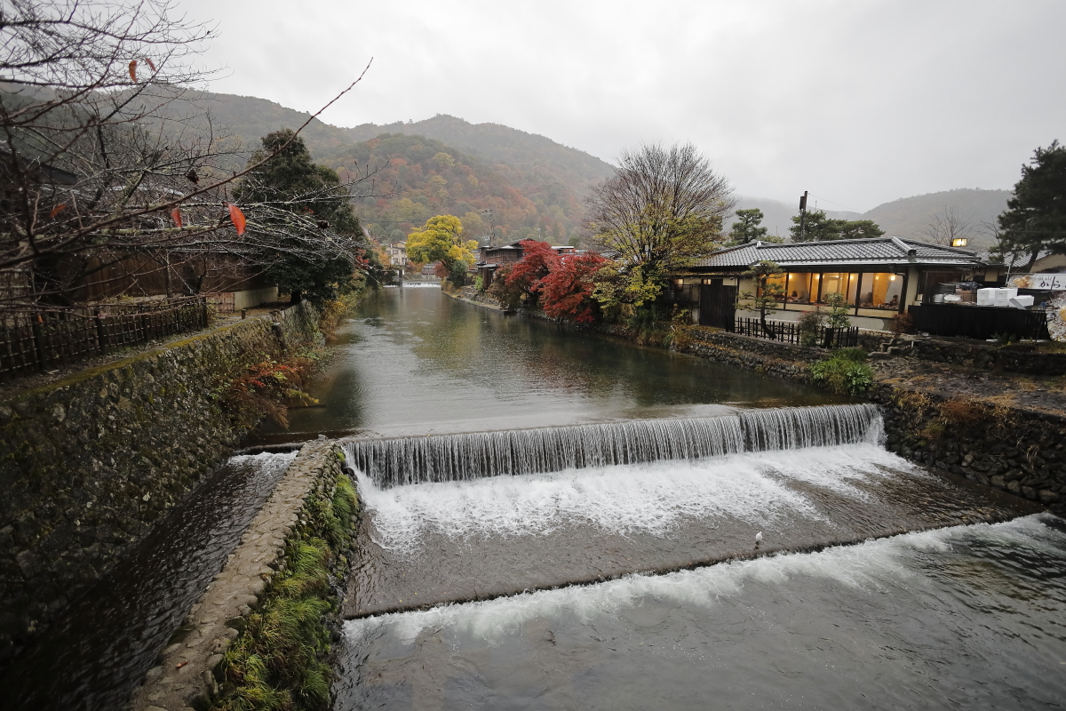 雨の京都嵐山　川と紅葉