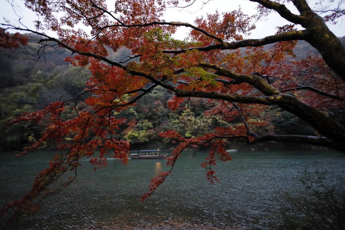 雨の京都嵐山