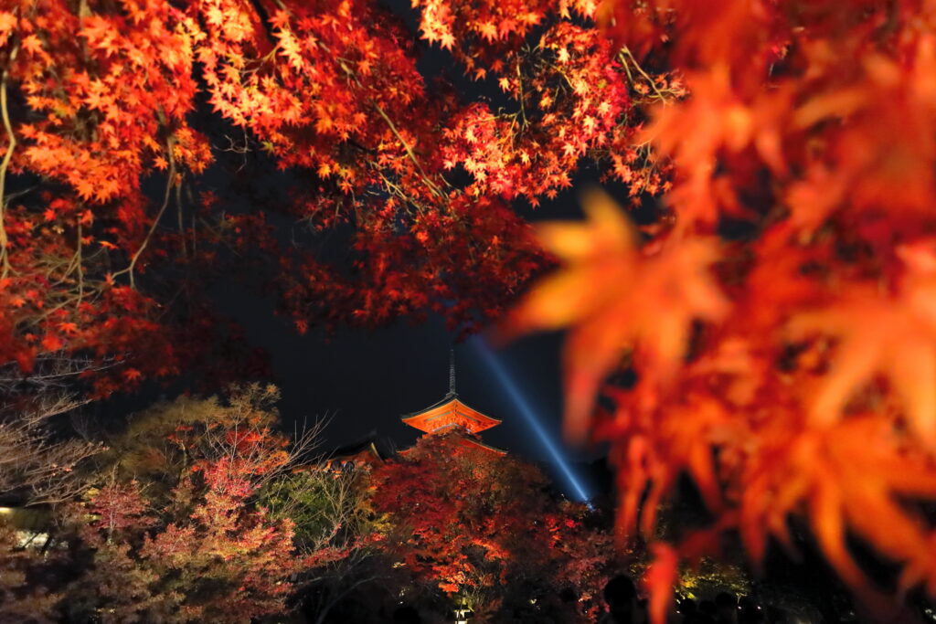 夜の京都清水寺ライトアップと紅葉2021年