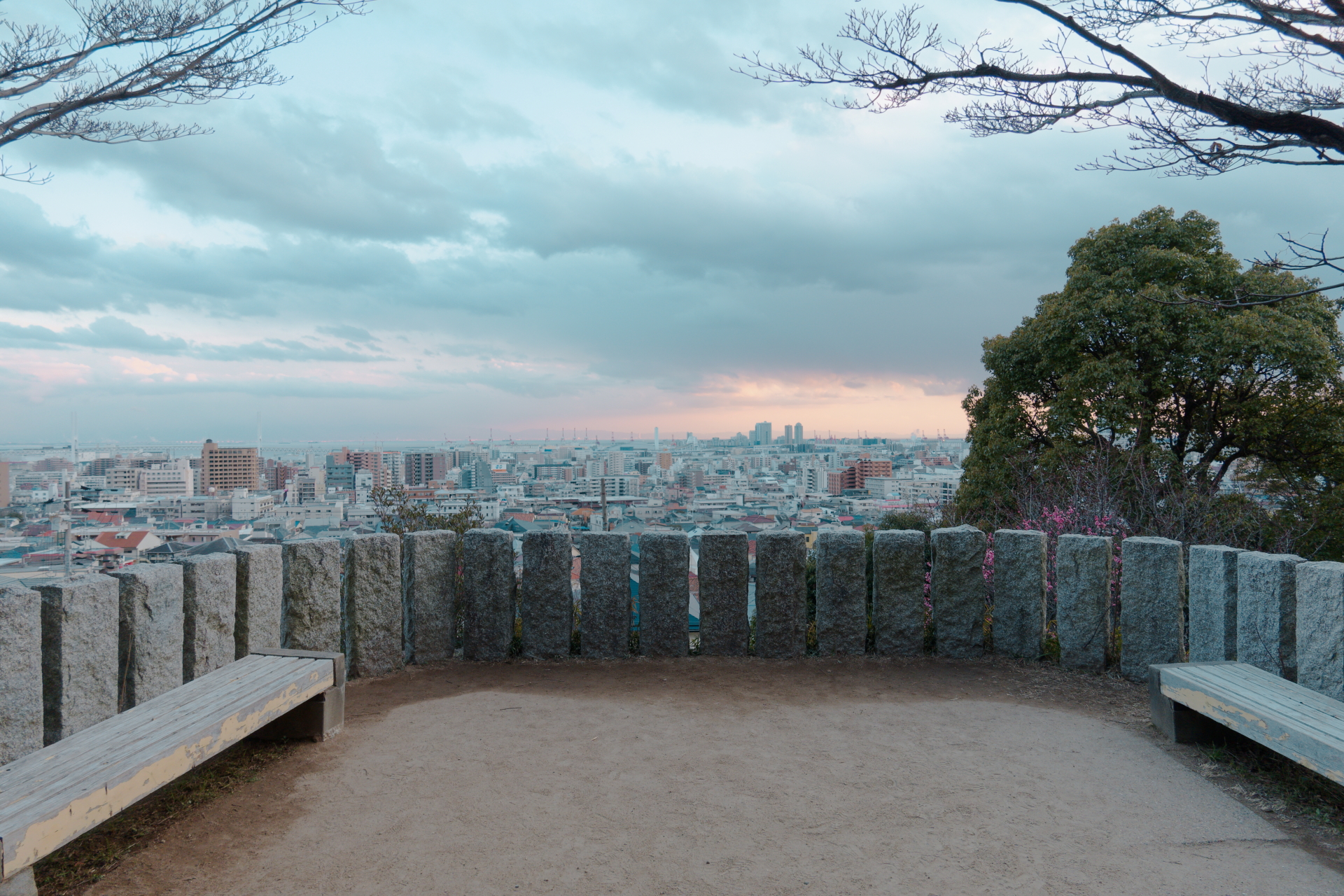 岡本梅林公園　作例写真　ソニー コンデジ　SONY RX100Ⅶ DSC-RX100M7