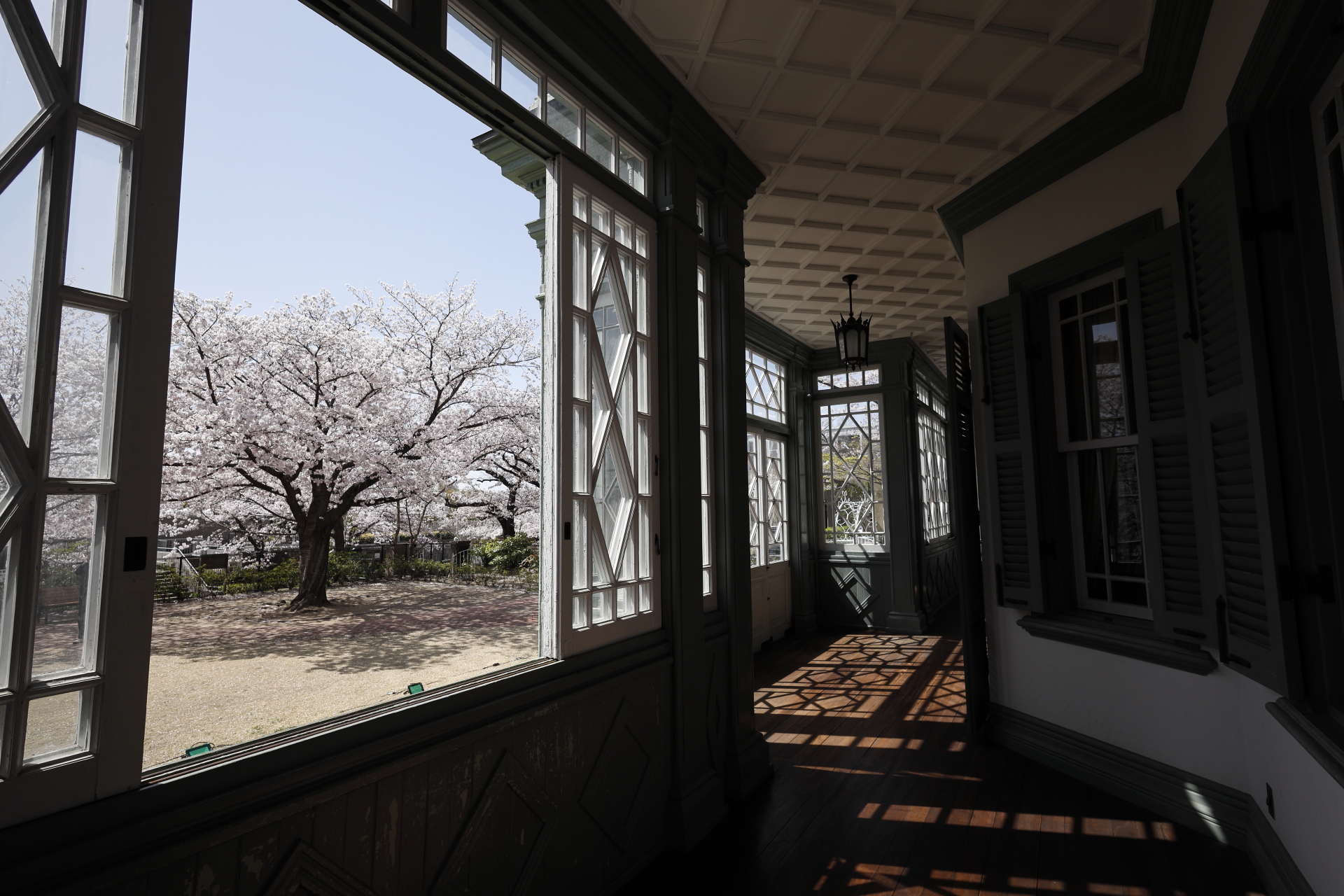 異人館ハンター住宅の中から見る桜 作例写真 キヤノンEOS RとRF16mm F2.8 STM