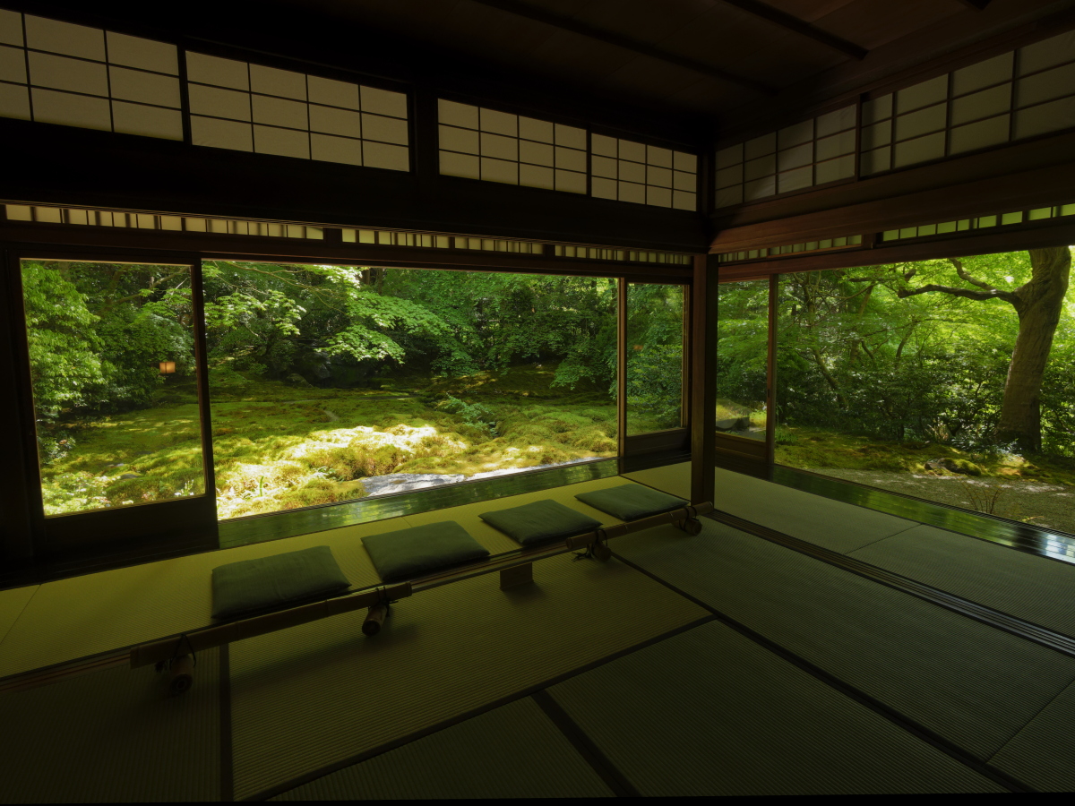 京都の瑠璃光院　新緑の庭園　お茶を飲める