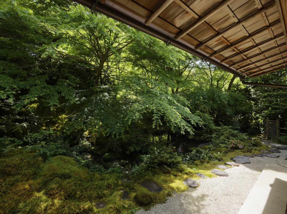 京都の瑠璃光院　新緑の庭園