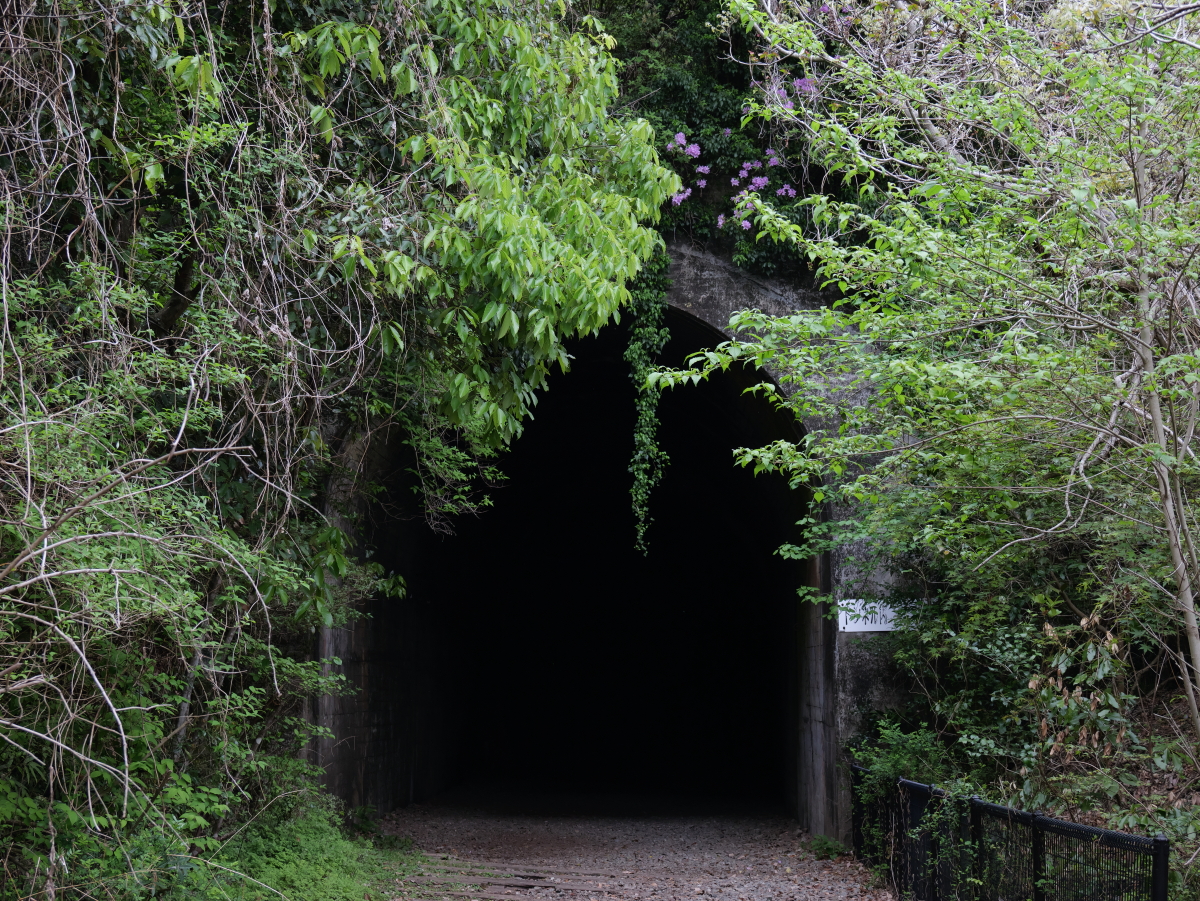 トンネル入り口　旧福知山線廃線ハイキング