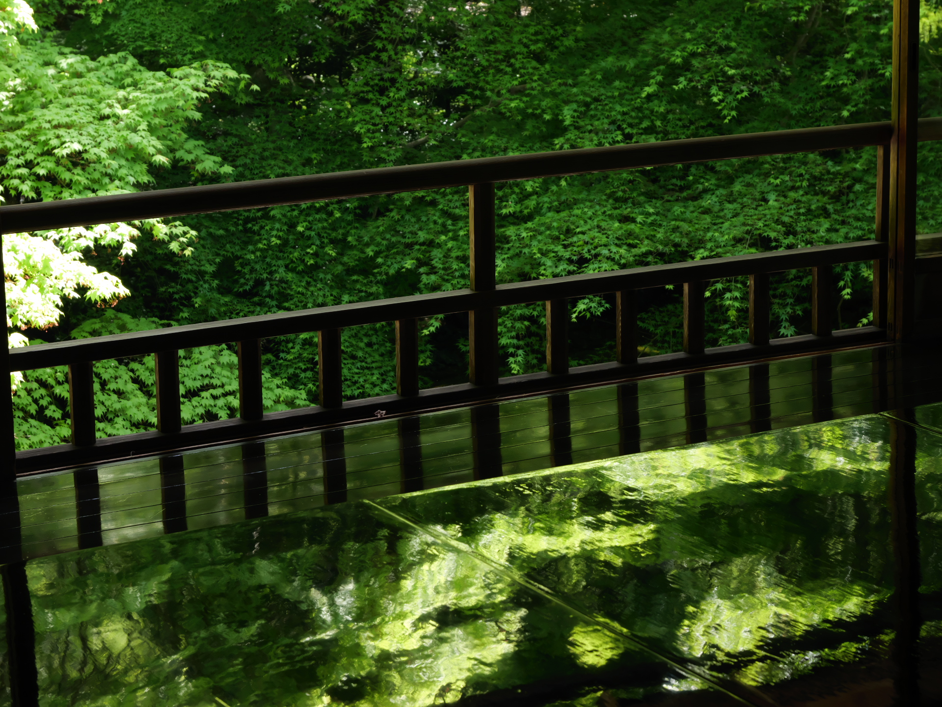 京都の瑠璃光院　窓から見える新緑が写経机に映り込む