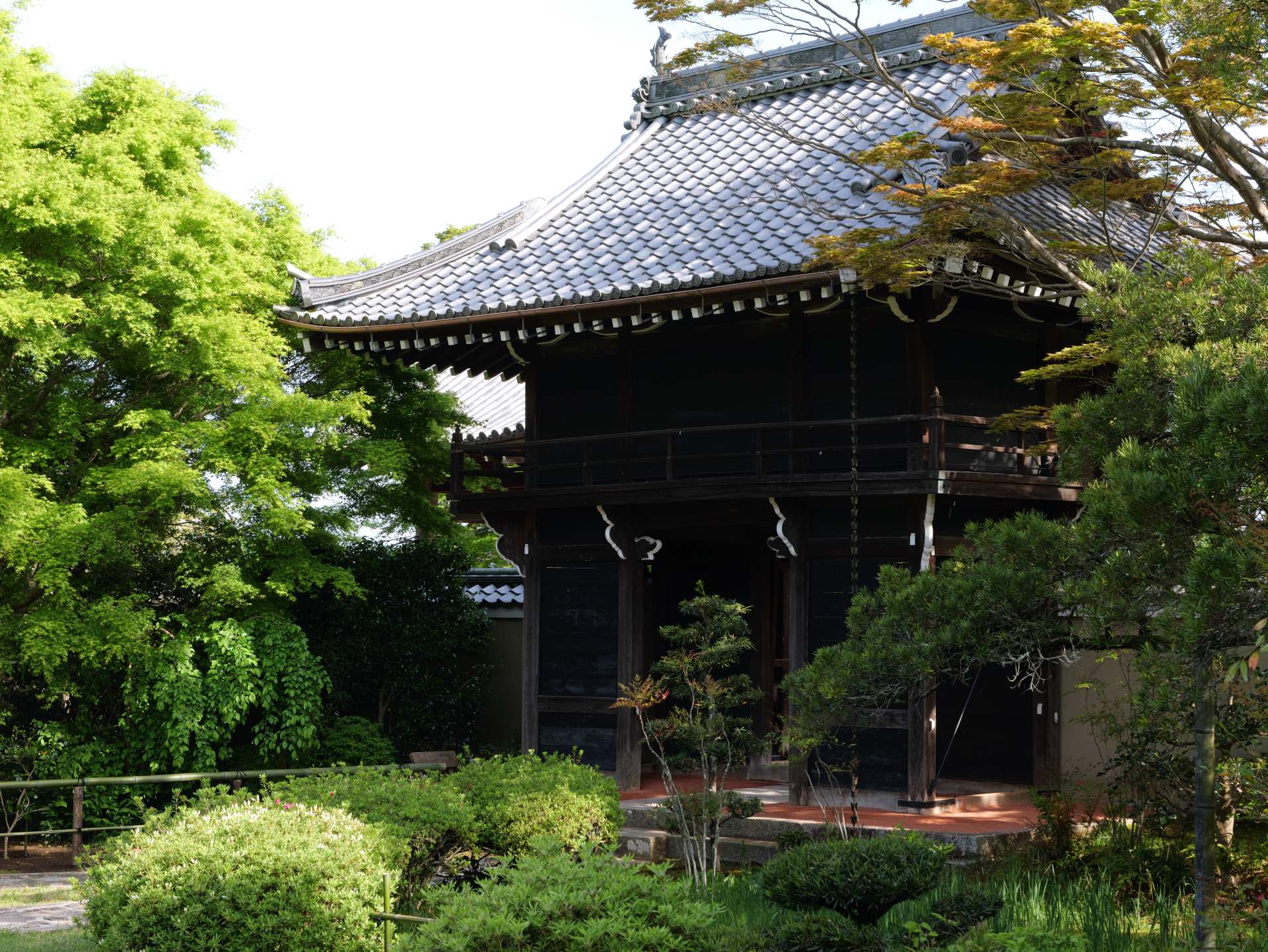 光悦寺の庭園　新緑