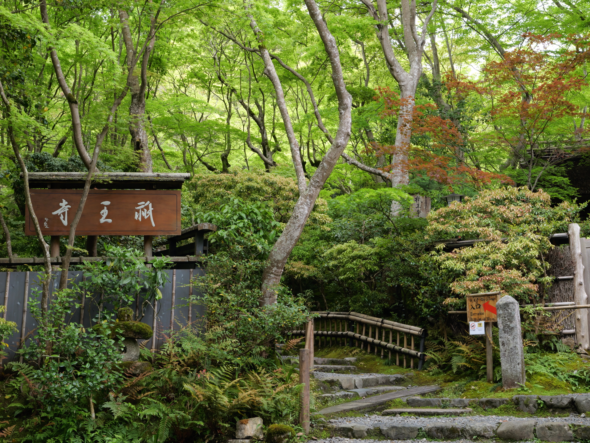 祇王寺　 京都 嵐山