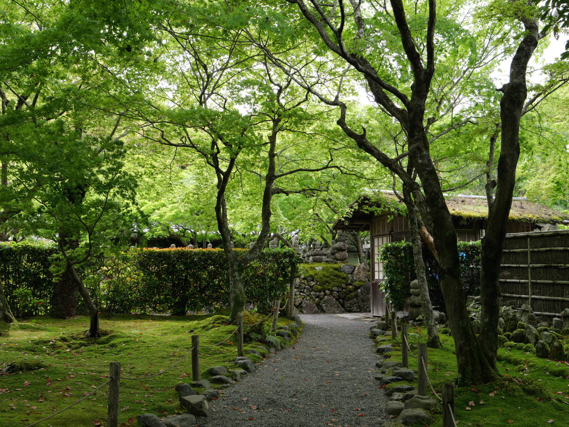 化野（あだしの）念仏寺　京都　嵐山