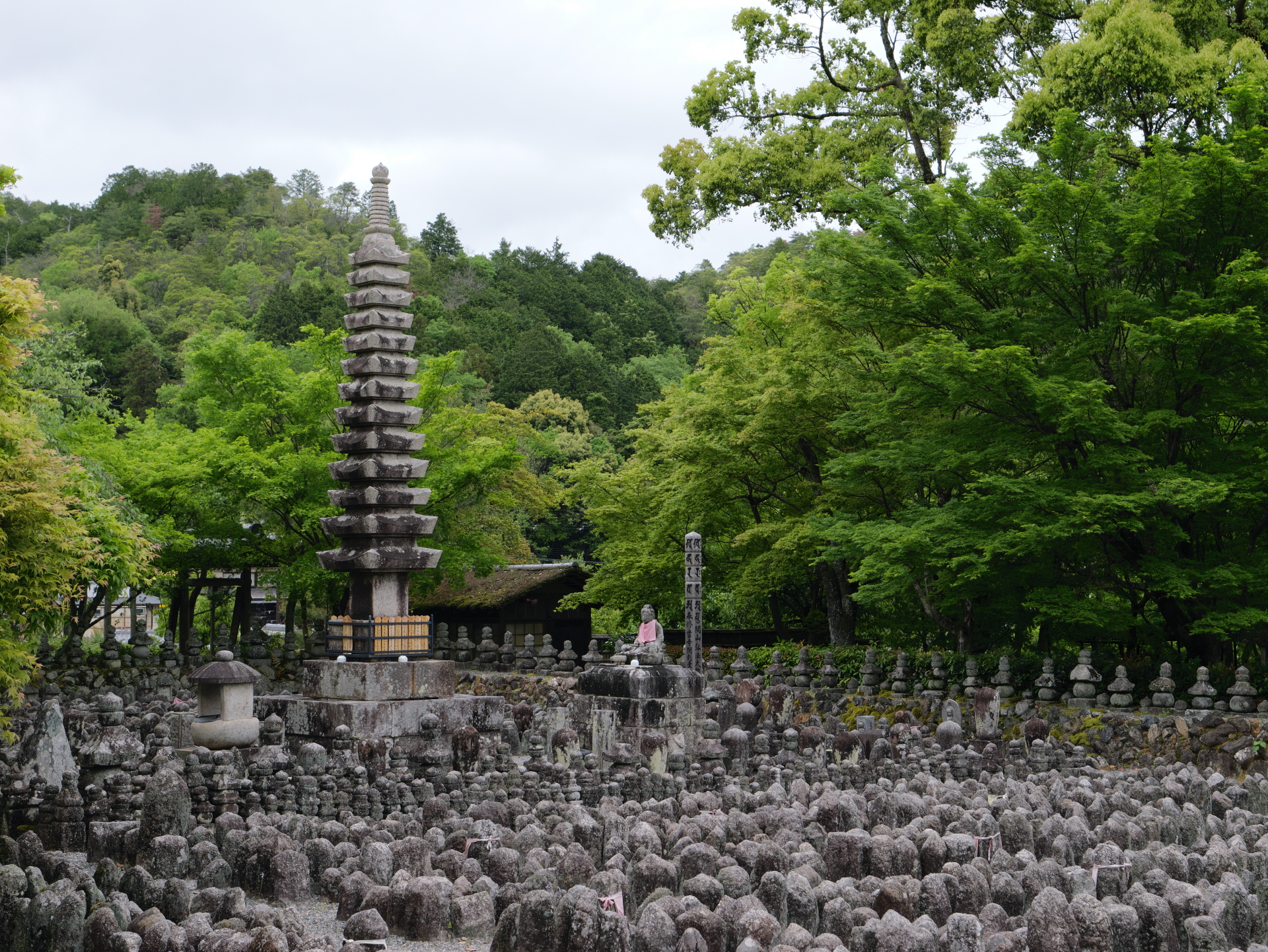 多数の石仏と石塔　化野（あだしの）念仏寺　京都　嵐山