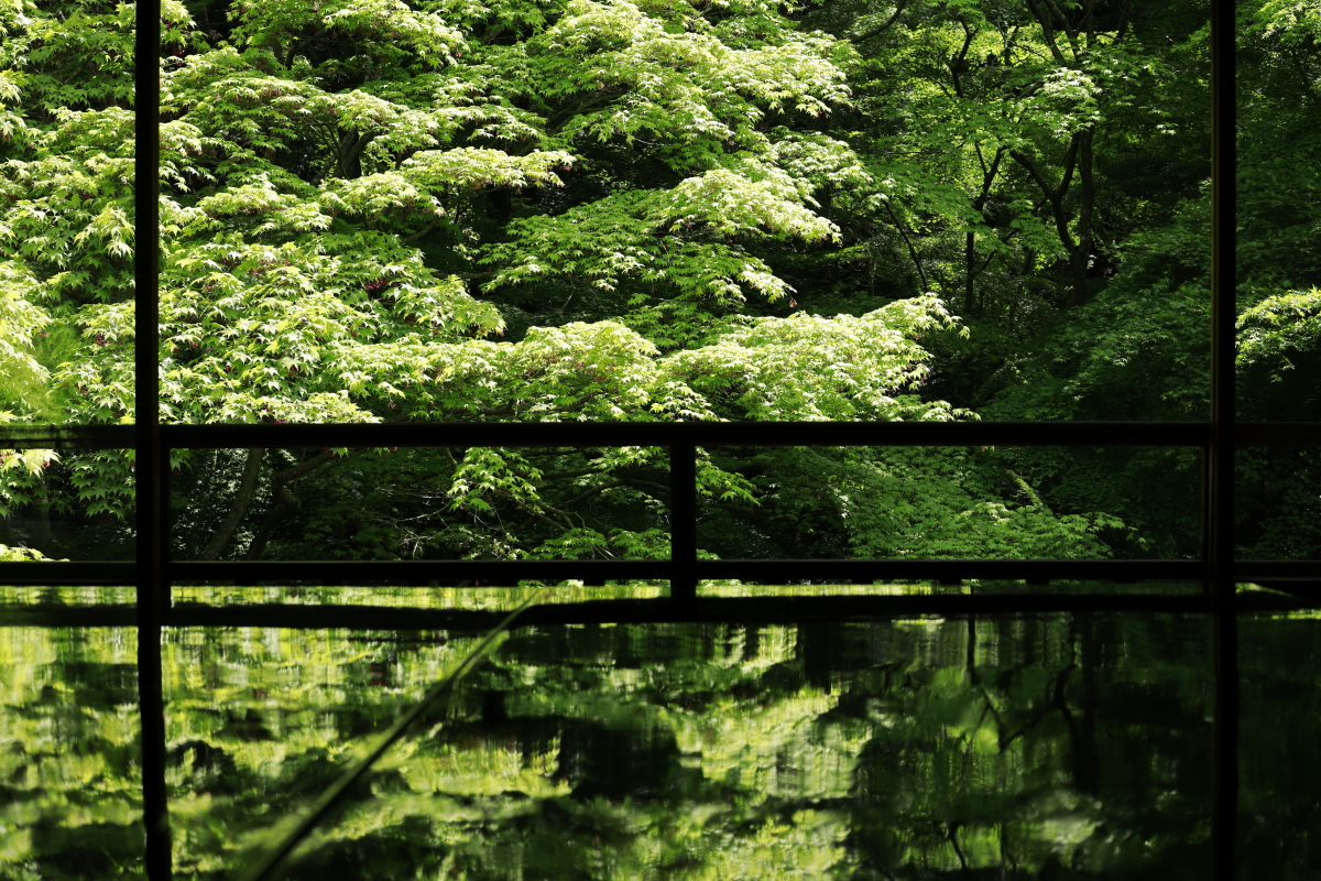京都の瑠璃光院　新緑が写経机に映り込む