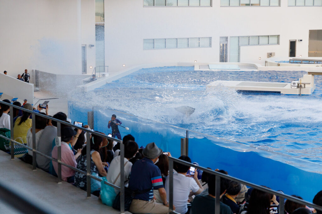 オルカショーの水しぶき