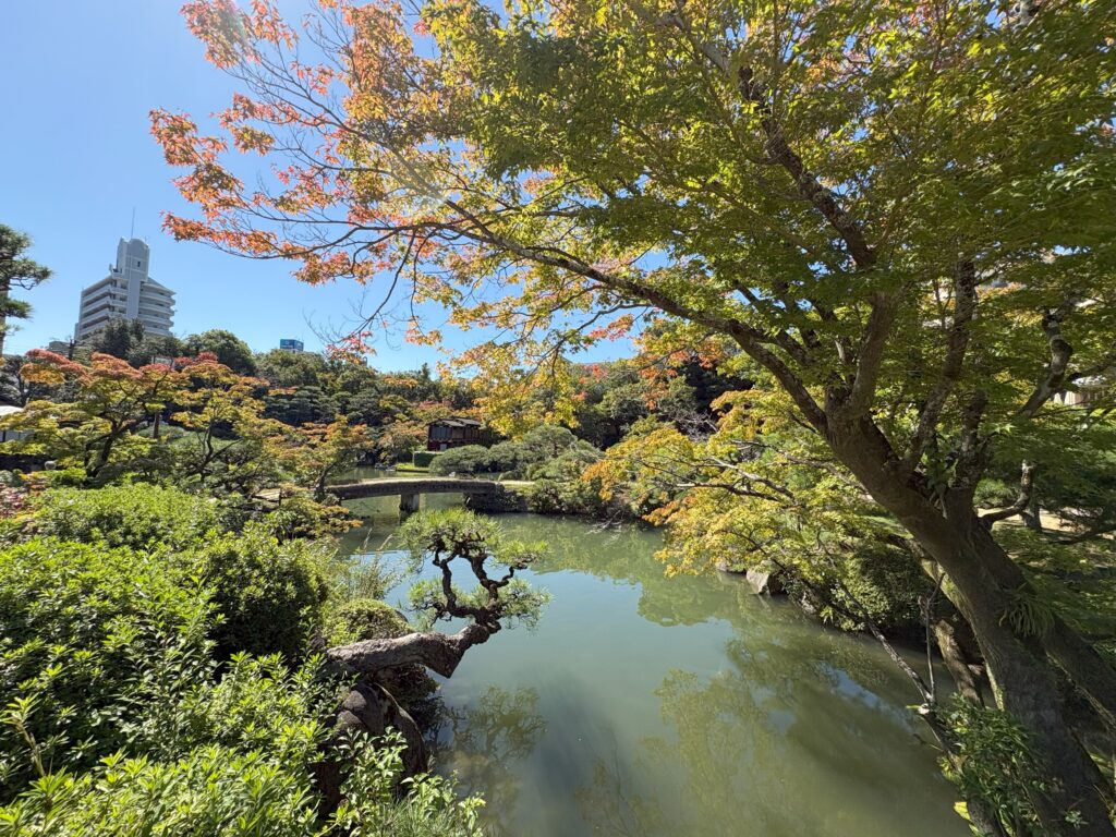 iPhone 16 Pro 広角カメラ 作例写真 日本庭園