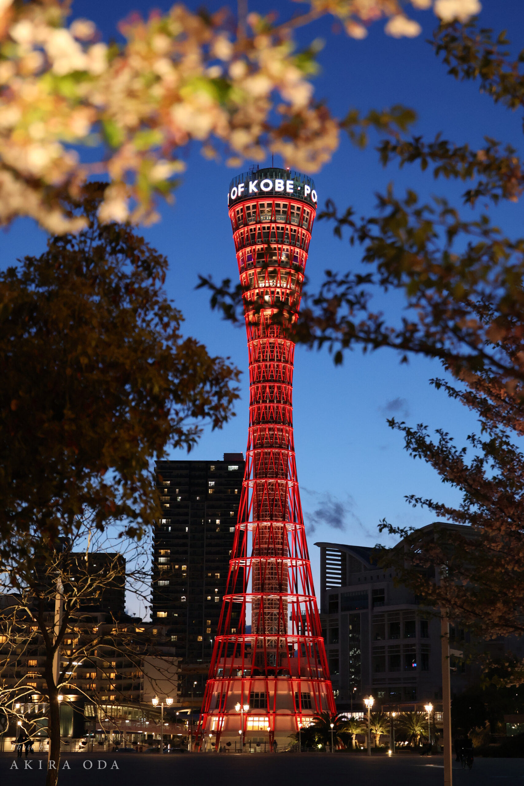ポートタワー 作例写真 Canon RF24-105mm F2.8 L IS USM Z
