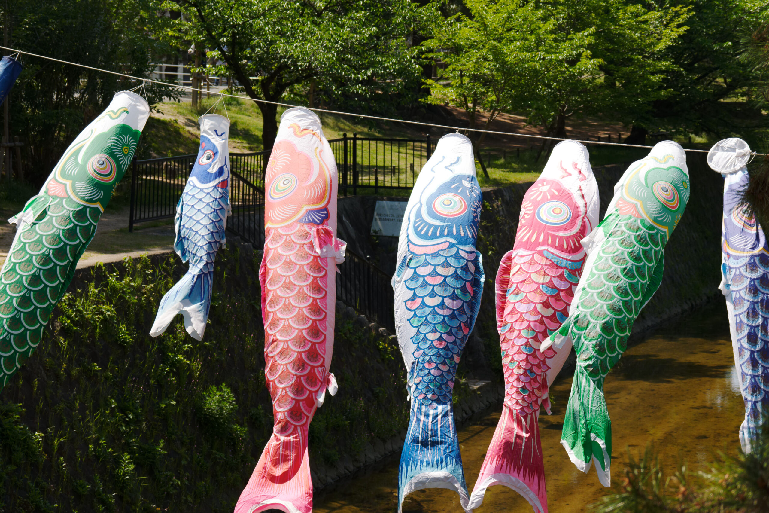 夙川の鯉のぼり