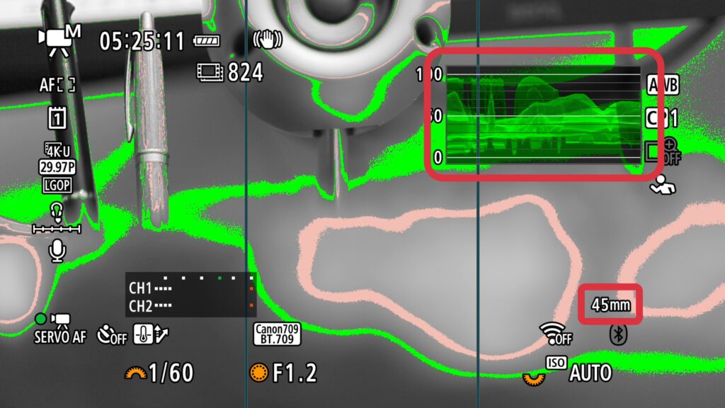 EOS R6 Mark IIIの撮影画面