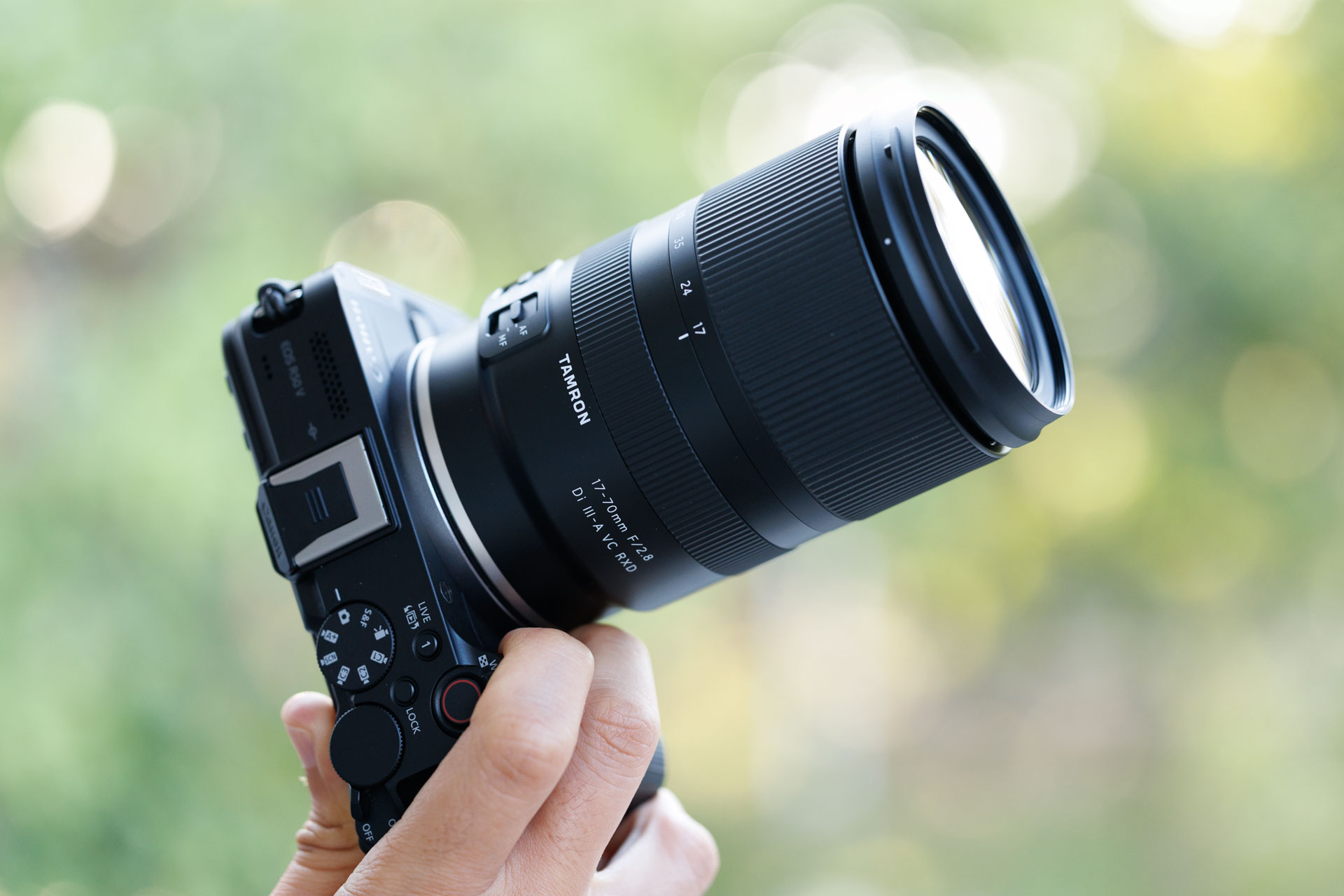 レンズレビュー:タムロン17-70mm F2.8をEOS R50 Vで使ってみた!旅や出張はレンズ交換いらず【作例多数】
